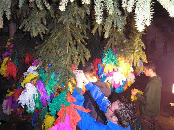 image 025