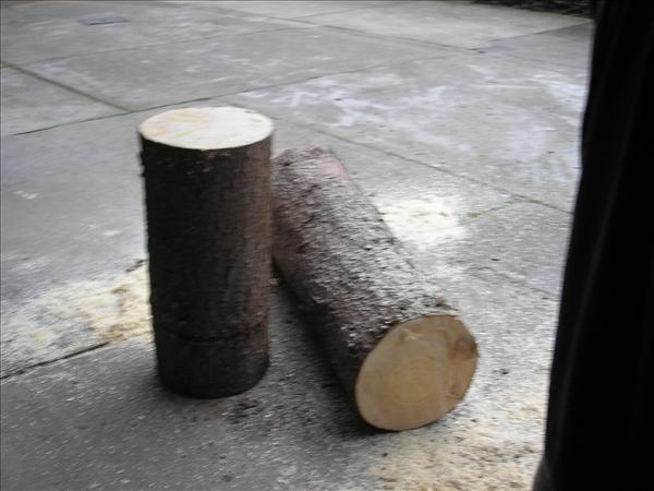 image 029