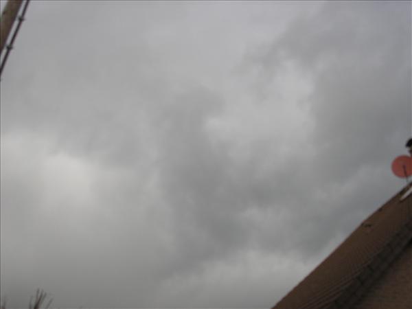 image 004