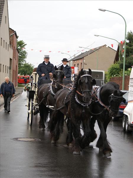 image 013