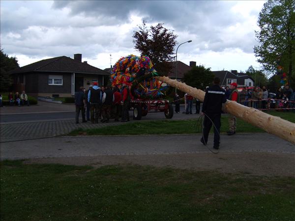 image 082