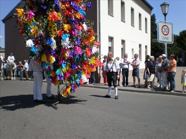 image 008