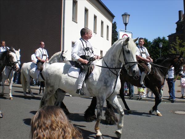 image 009