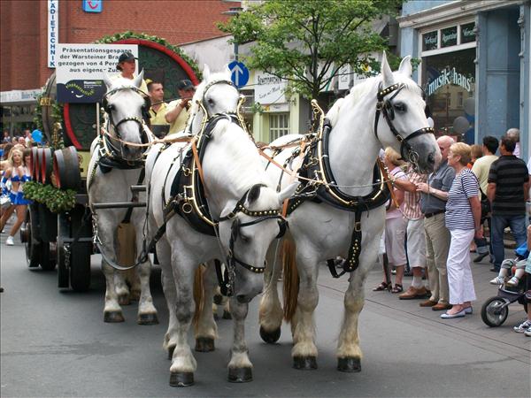 image 028