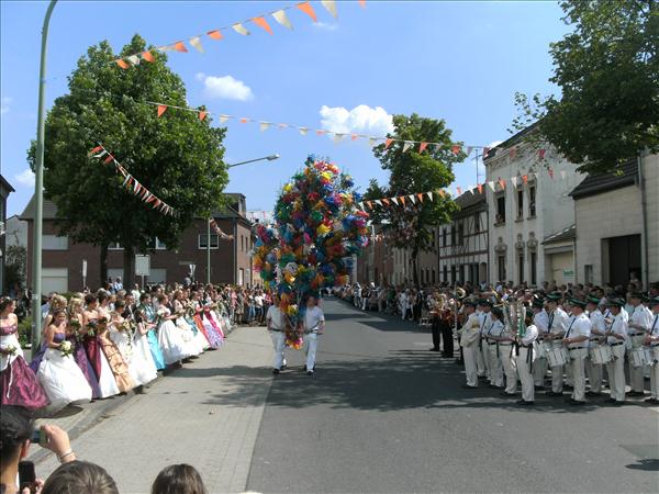 image 235