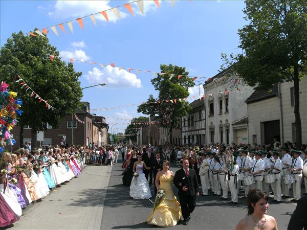 image 250