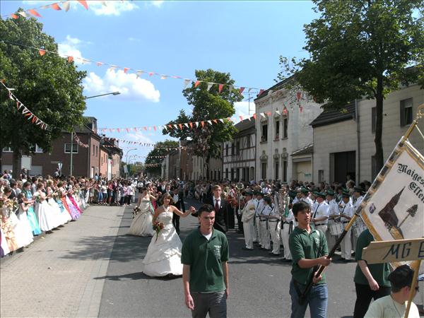 image 254