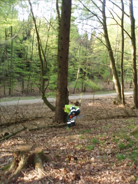 image 017