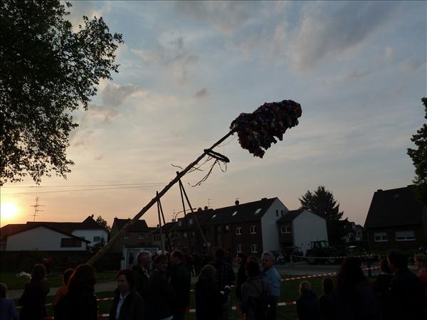 image 135