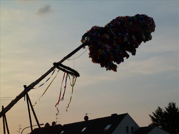image 136