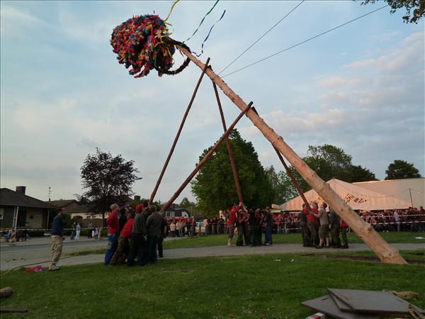 image 141