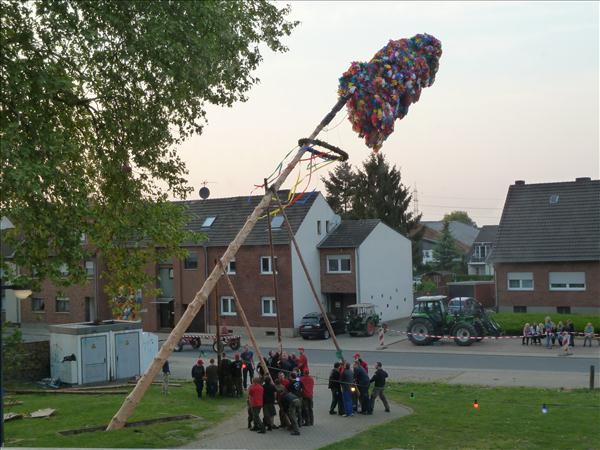 image 146