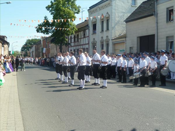 image 251