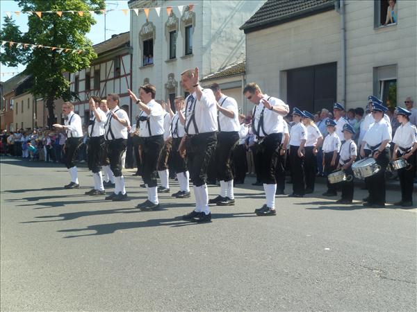 image 252