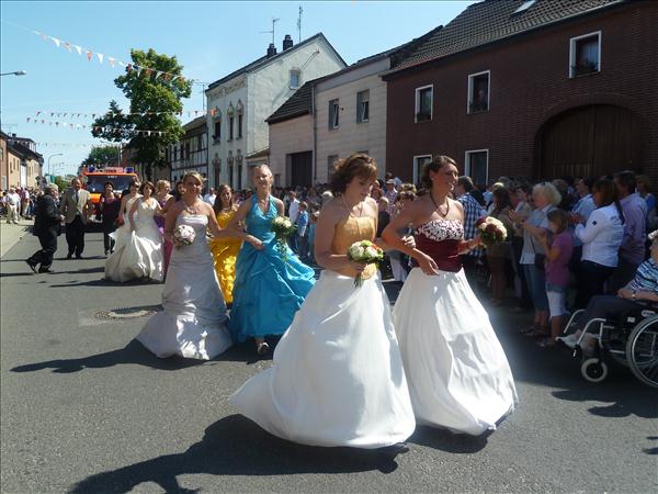 image 334