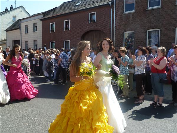 image 336