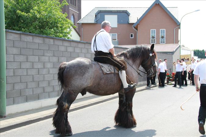 image 031