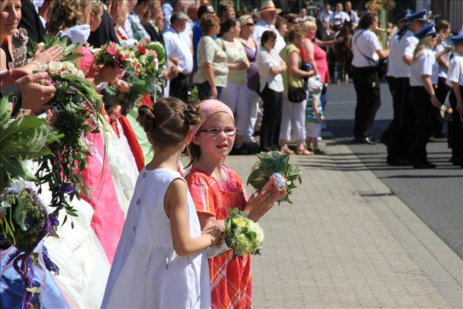 image 264