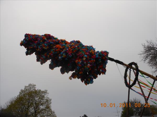 image 100