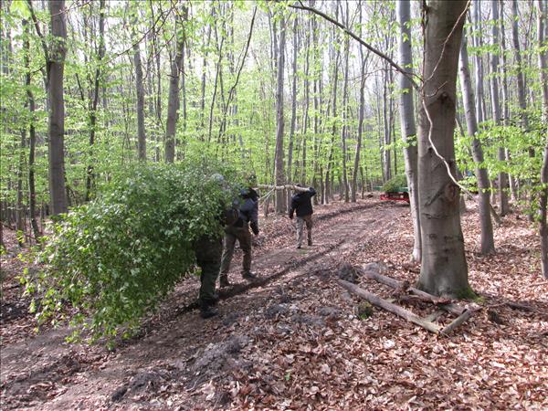 image 051