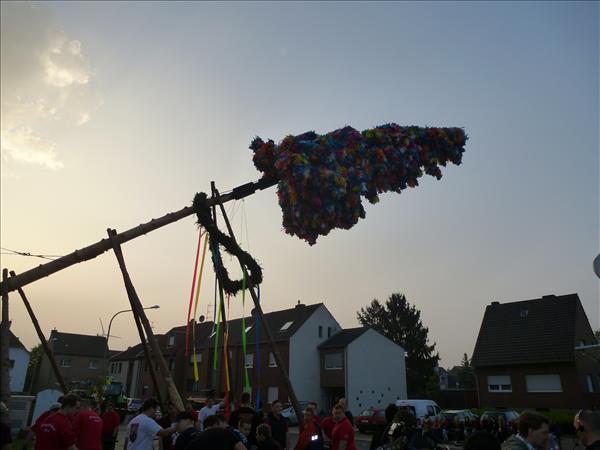 image 148