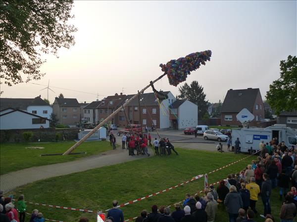 image 152