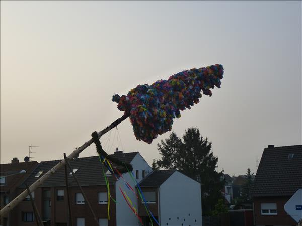image 154