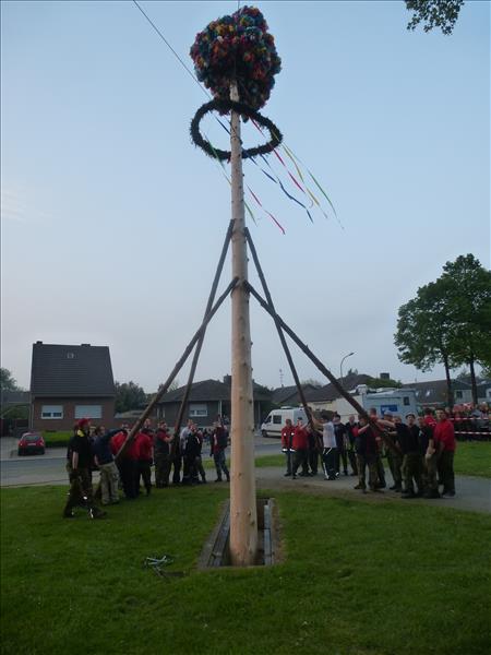 image 200