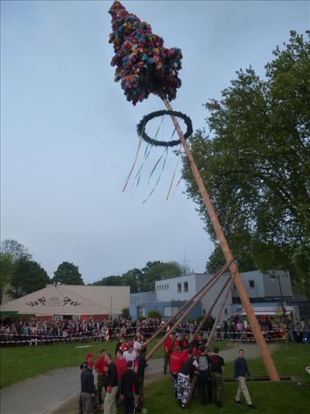 image 206