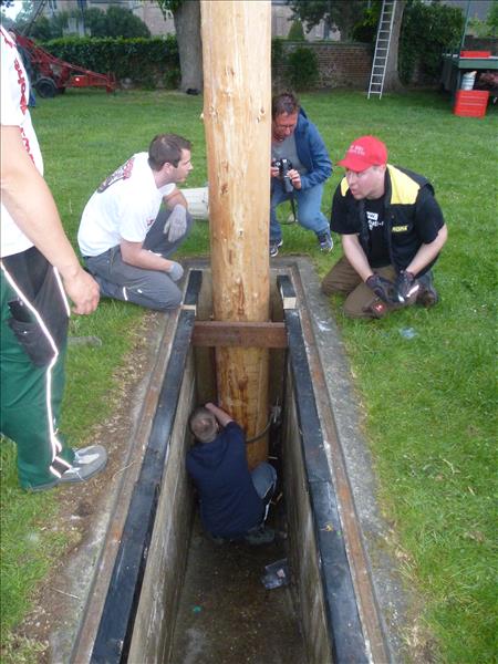 image 221