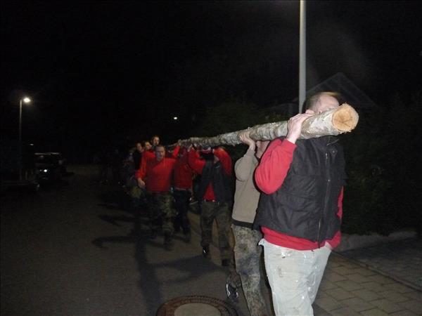 image 311