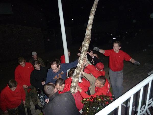 image 318