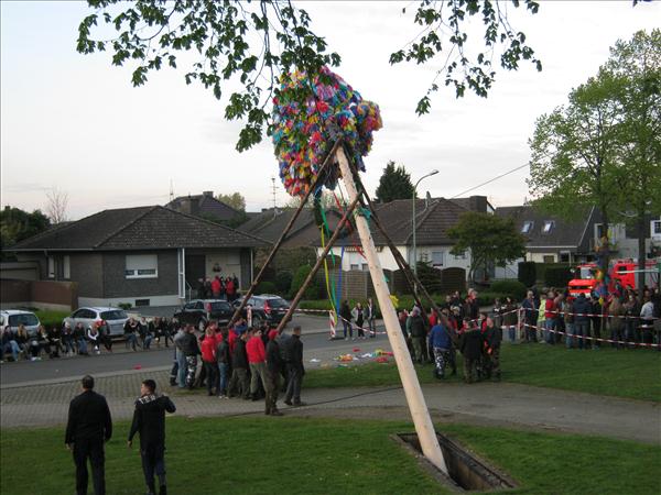 image 118
