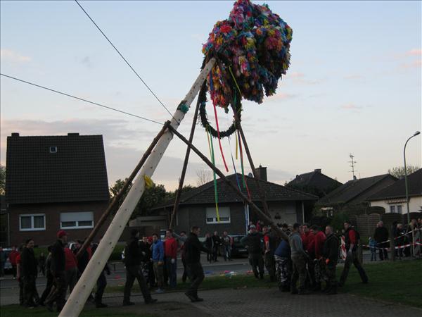 image 135