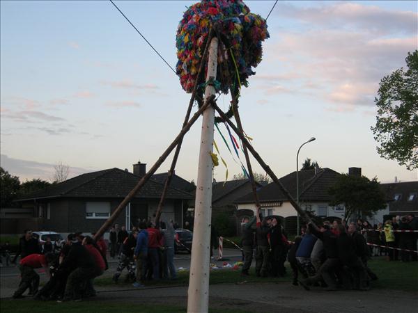 image 138