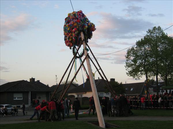 image 141