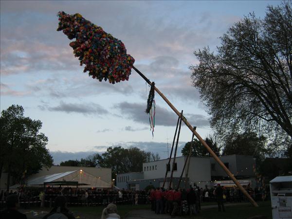 image 162