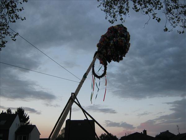 image 169