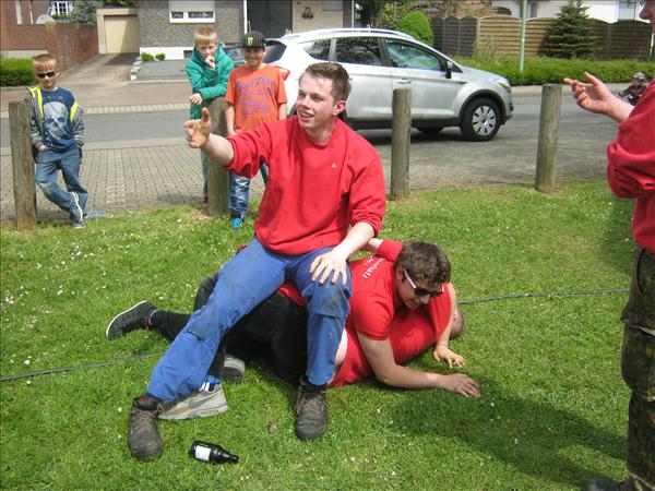 image 343