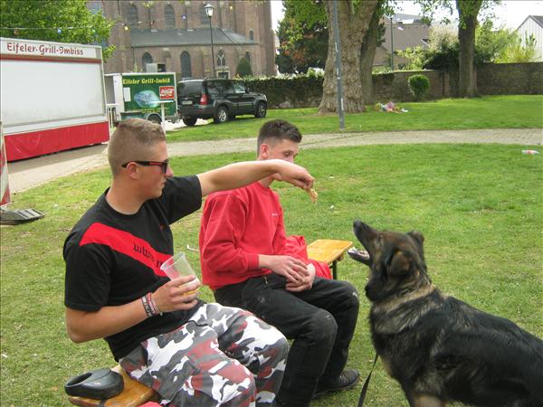 image 368