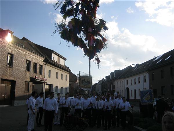 image 003