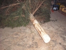 image 009