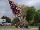 Mainacht164