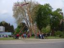 Mainacht185