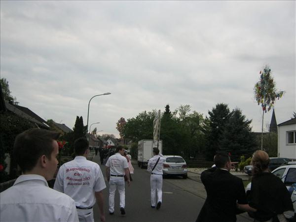 image 003