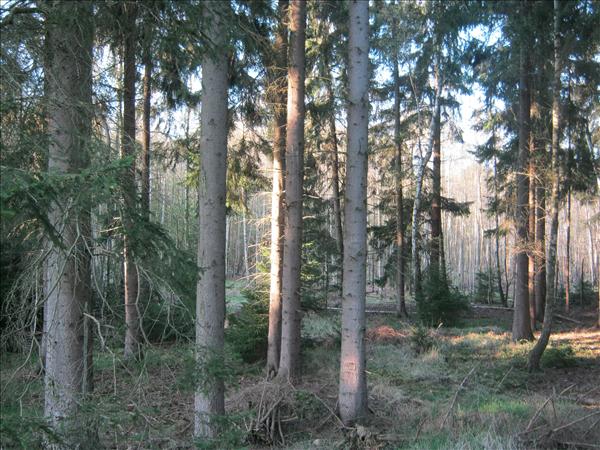 image 011