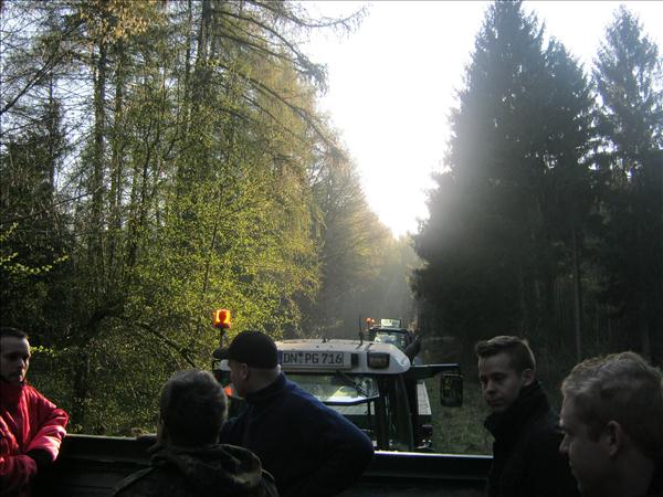 image 012