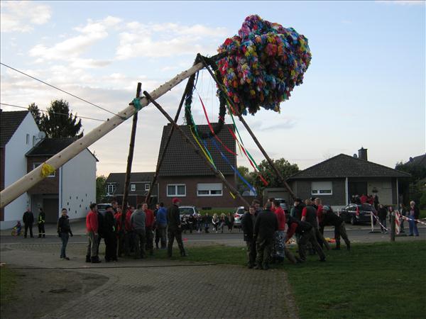 image 113