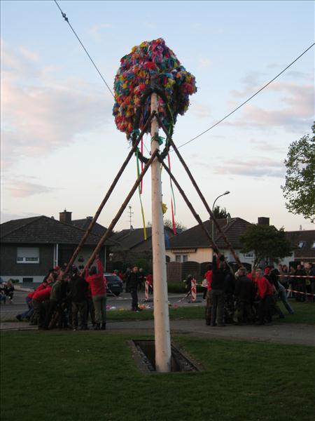 image 142