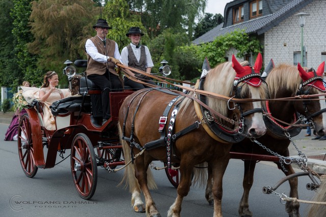 BILD 19